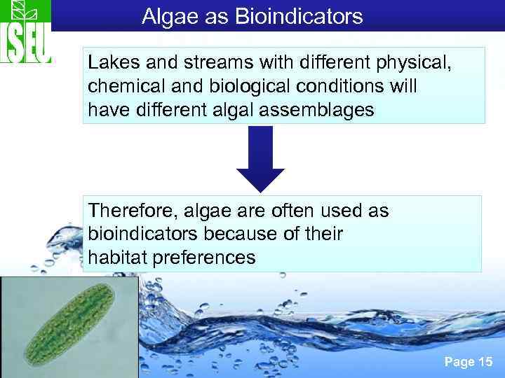 Algae as Bioindicators Lakes and streams with different physical, chemical and biological conditions will