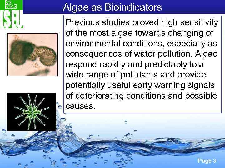 Algae as Bioindicators Previous studies proved high sensitivity of the most algae towards changing