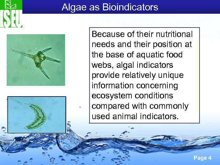 Algae as Bioindicators Because of their nutritional needs and their position at the base