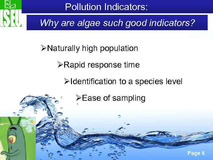 Pollution Indicators: Why are algae such good indicators? ØNaturally high population ØRapid response time