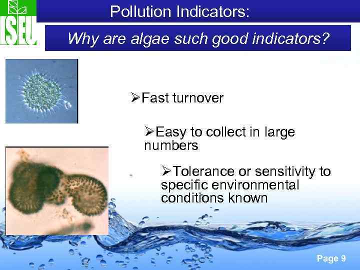 Pollution Indicators: Why are algae such good indicators? ØFast turnover ØEasy to collect in