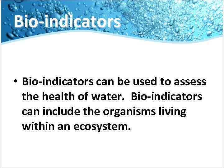 Bio-indicators • Bio-indicators can be used to assess the health of water. Bio-indicators can
