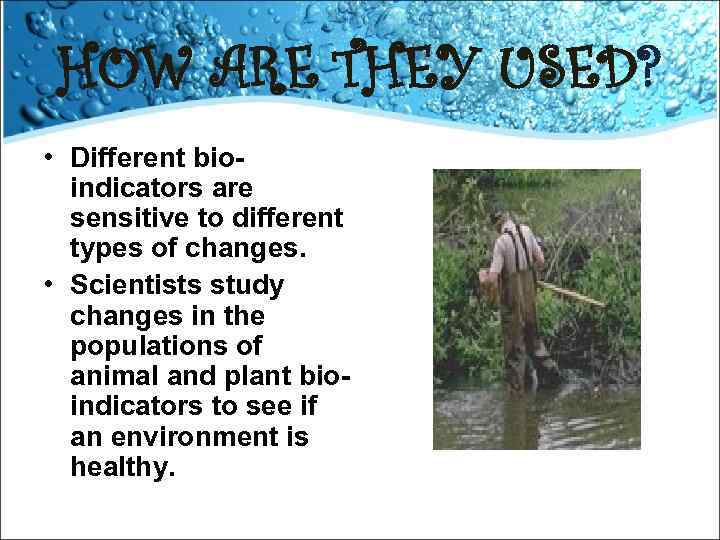 HOW ARE THEY USED? • Different bioindicators are sensitive to different types of changes.