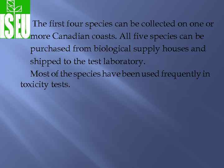 The first four species can be collected on one or more Canadian coasts. All