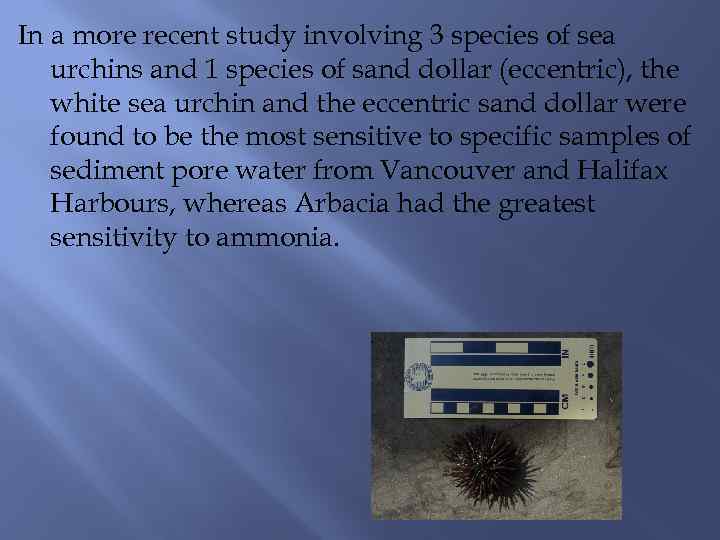 In a more recent study involving 3 species of sea urchins and 1 species