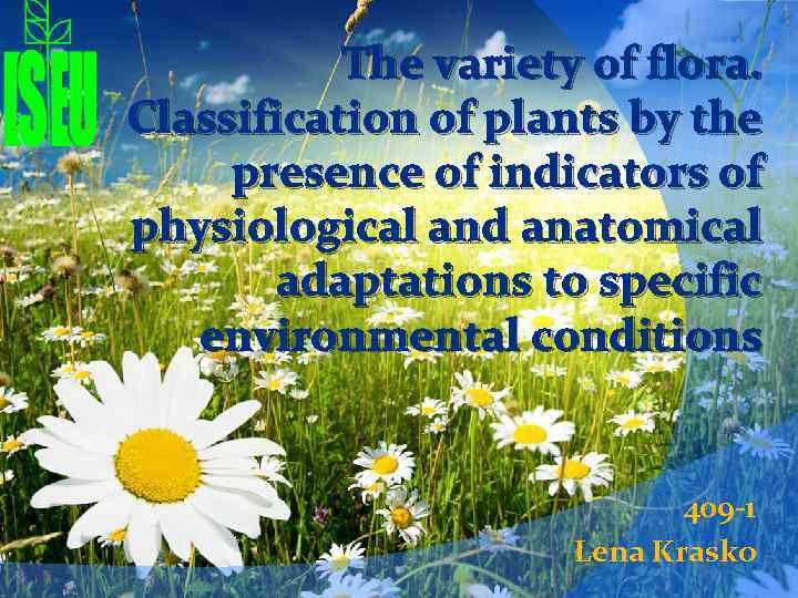  The variety of flora. Classification of plants by the presence of indicators of