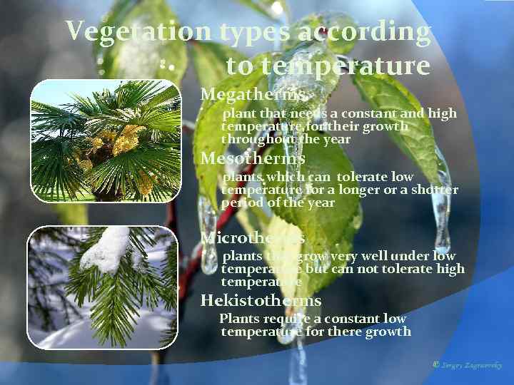 Vegetation types according to temperature Megatherms plant that needs a constant and high temperature