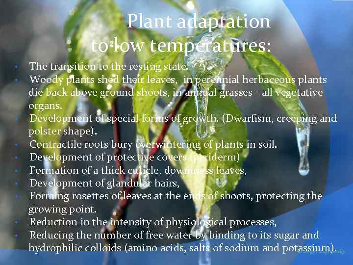 Plant adaptation to low temperatures: • • • The transition to the resting state.