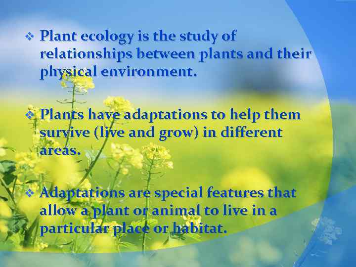 v Plant ecology is the study of relationships between plants and their physical environment.