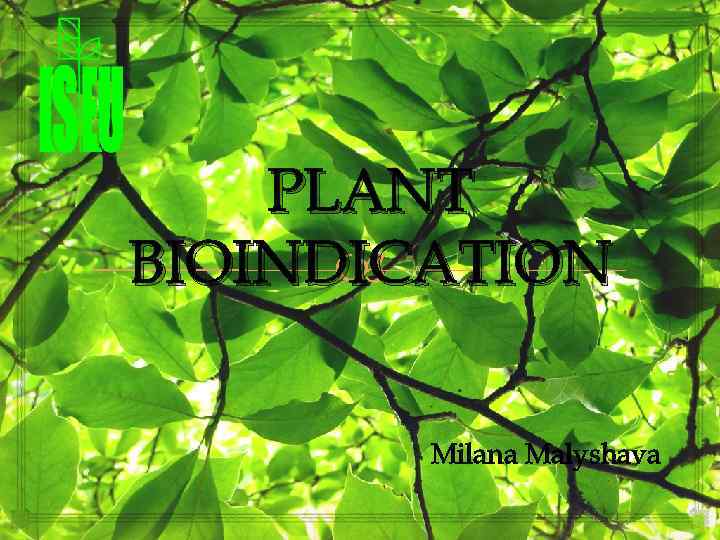 PLANT BIOINDICATION Milana Malyshava 