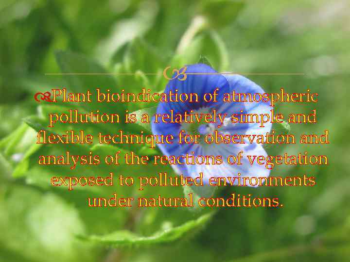  Plant bioindication of atmospheric pollution is a relatively simple and flexible technique for