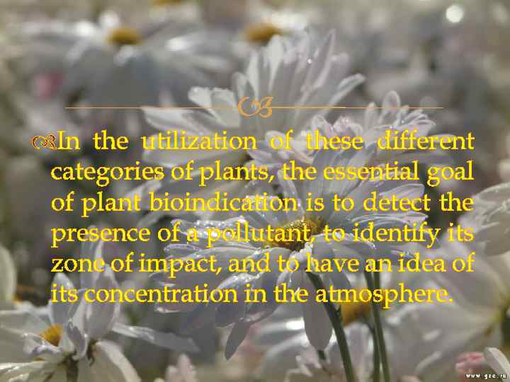  In the utilization of these different categories of plants, the essential goal of