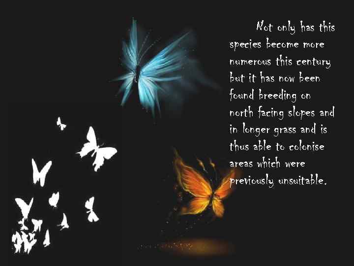 Not only has this species become more numerous this century but it has now