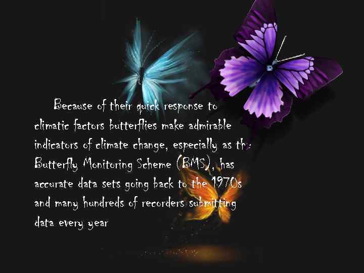 Because of their quick response to climatic factors butterflies make admirable indicators of climate
