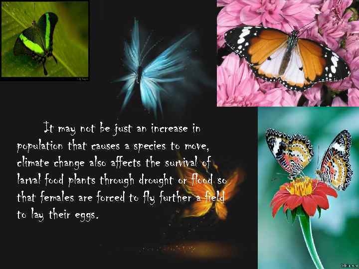 It may not be just an increase in population that causes a species to