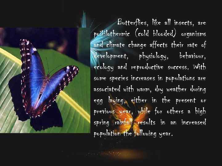 Butterflies, like all insects, are poikilothermic (cold blooded) organisms and climate change affects their
