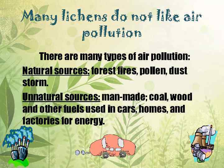 Many lichens do not like air pollution There are many types of air pollution: