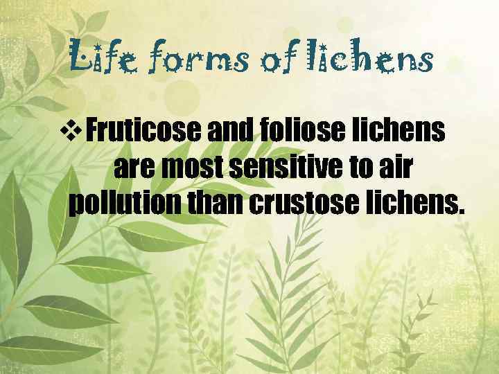 Life forms of lichens v. Fruticose and foliose lichens are most sensitive to air