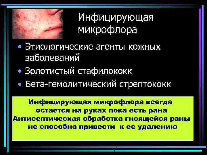 Инфицирующая микрофлора • Этиологические агенты кожных заболеваний • Золотистый стафилококк • Бета-гемолитический стрептококк Инфицирующая