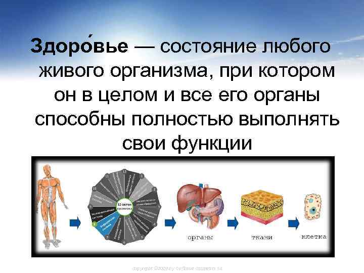 Здоро вье — состояние любого живого организма, при котором он в целом и все