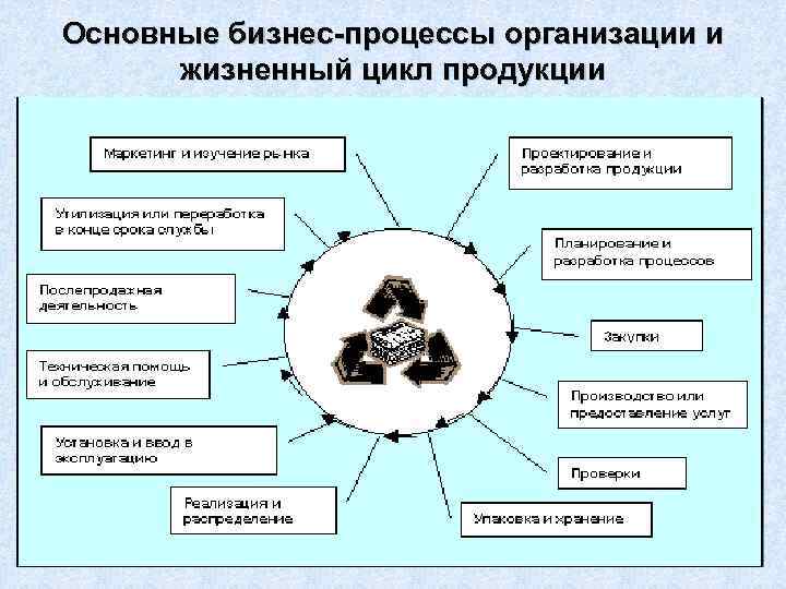 Основные бизнес-процессы организации и жизненный цикл продукции 24 