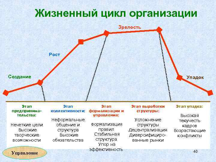 Жизненный цикл организации Зрелость Рост Создание Этап предпринимательства: Нечеткие цели Высокие творческие возможности Управление