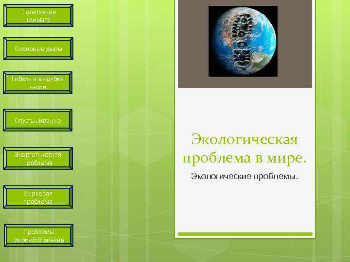 Потепление климата Озоновые дыры Гибель и вырубка лесов Опустынивание Энергетическая проблема Экологическая проблема в