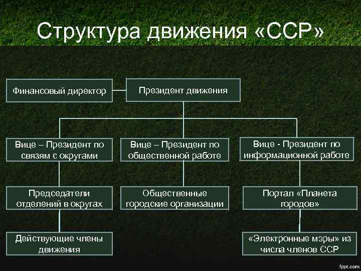 Структура движения «ССР» Финансовый директор Президент движения Вице – Президент по связям с округами