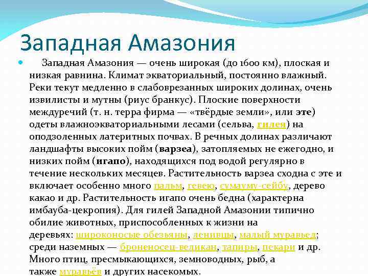 Западная Амазония Западная Амазония — очень широкая (до 1600 км), плоская и низкая равнина.