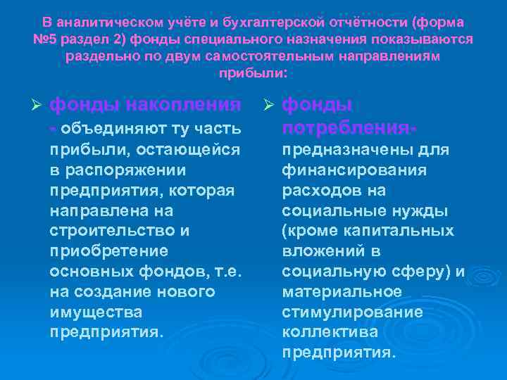 В аналитическом учёте и бухгалтерской отчётности (форма № 5 раздел 2) фонды специального назначения