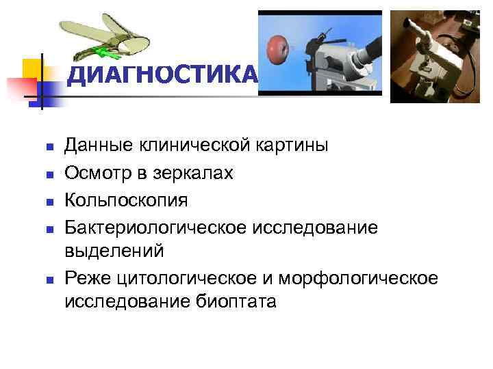 ДИАГНОСТИКА n n n Данные клинической картины Осмотр в зеркалах Кольпоскопия Бактериологическое исследование выделений