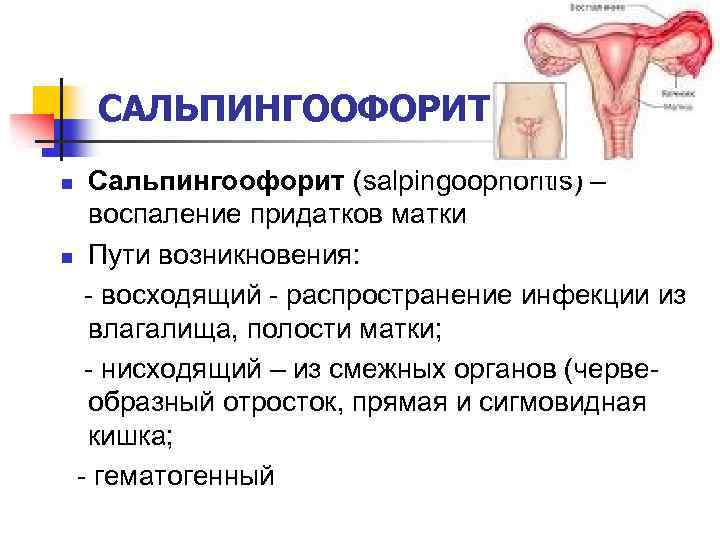 САЛЬПИНГООФОРИТ Сальпингоофорит (salpingoophoritis) – воспаление придатков матки n Пути возникновения: - восходящий - распространение