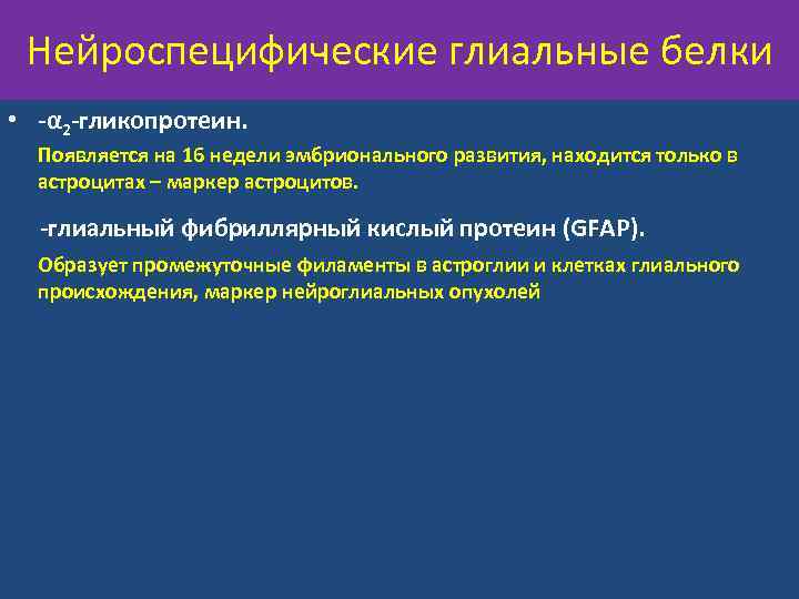 Нейроспецифические глиальные белки • -α 2 -гликопротеин. Появляется на 16 недели эмбрионального развития, находится