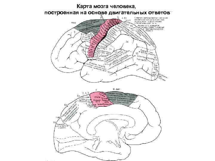 Ушиб головного мозга карта вызова