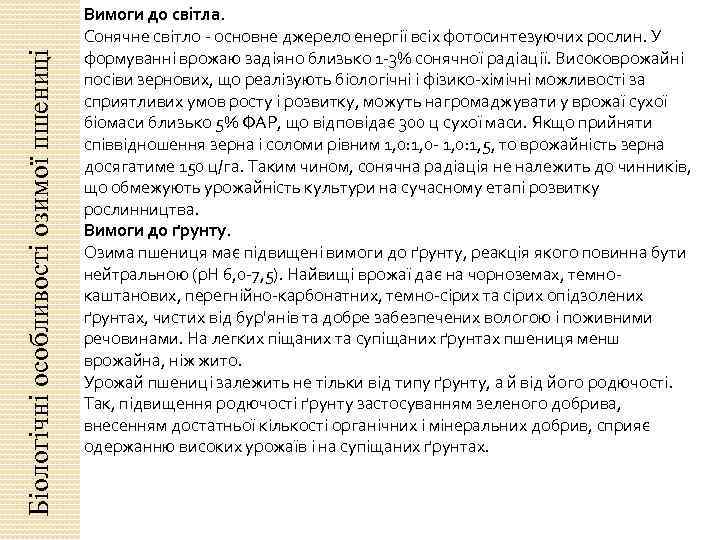 Біологічні особливості озимої пшениці Вимоги до світла. Сонячне світло основне джерело енергії всіх фотосинтезуючих