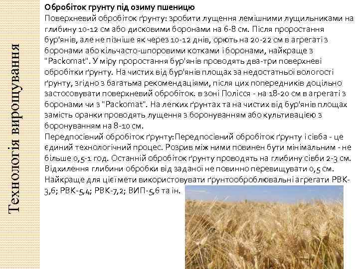 Технологія вирощування Обробіток грунту під озиму пшеницю Поверхневий обробіток ґрунту: зробити лущення лемішними лущильниками