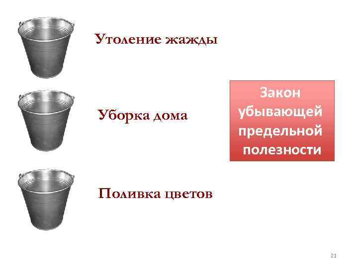 Утоление жажды Уборка дома Закон убывающей предельной полезности Поливка цветов 21 