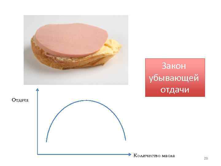 Закон убывающей отдачи Отдача Количество масла 29 