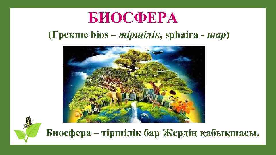 БИОСФЕРА (Грекше bios – тіршілік, sphaira - шар) Биосфера – тіршілік бар Жердің қабықшасы.