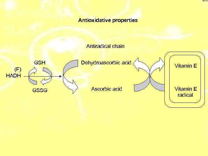 Antioxidative properties Antiradical chain GSH Dehydroascorbic acid GSSG Ascorbic acid (F) НАDH Vitamin E