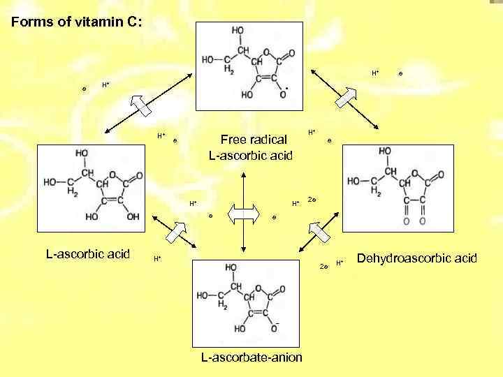 Forms of vitamin C: H+ e e H+ H+ Free radical L-ascorbic acid e