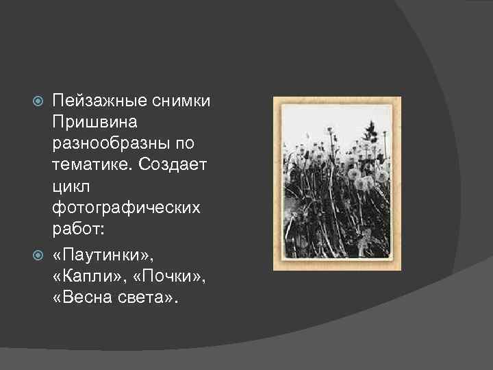 Пейзажные снимки Пришвина разнообразны по тематике. Создает цикл фотографических работ: «Паутинки» , «Капли» ,