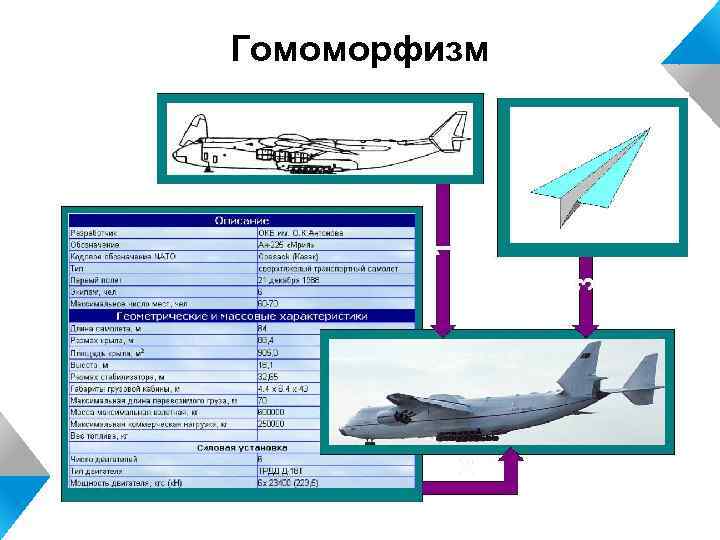 Гомоморфизм 