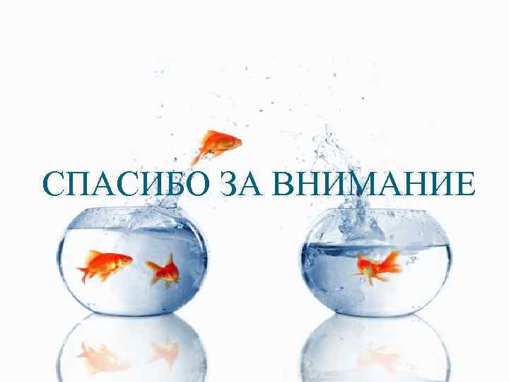 СПАСИБО ЗА ВНИМАНИЕ 