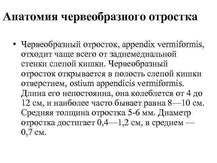 Анатомия червеобразного отростка • Червеобразный отросток, appendix vermiformis, отходит чаще всего от заднемедиальной стенки