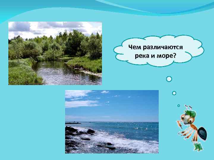 Чем различаются река и море? 