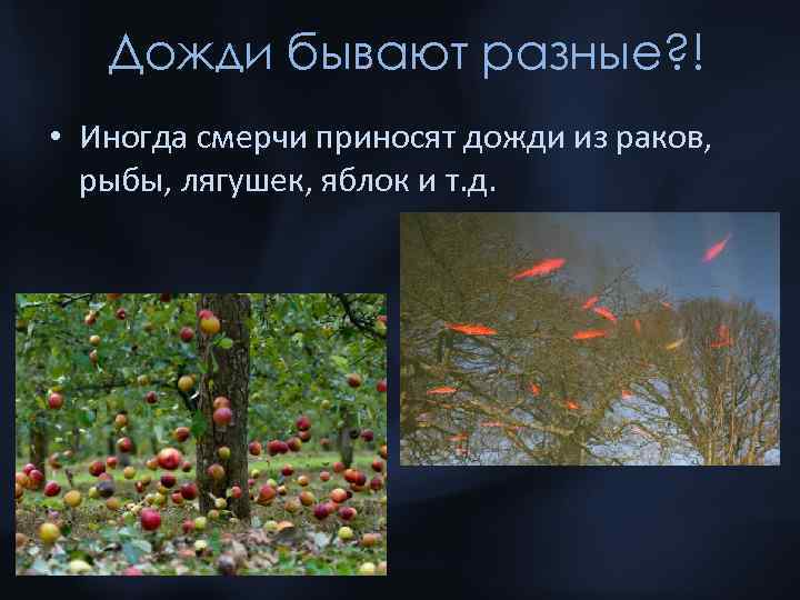 Дожди бывают разные? ! • Иногда смерчи приносят дожди из раков, рыбы, лягушек, яблок