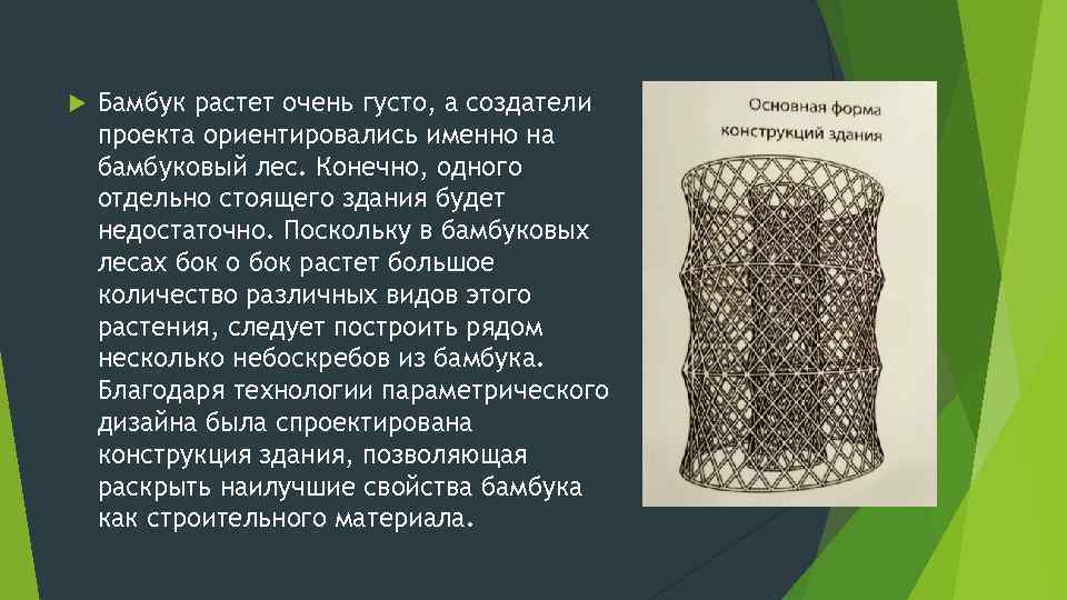  Бамбук растет очень густо, а создатели проекта ориентировались именно на бамбуковый лес. Конечно,