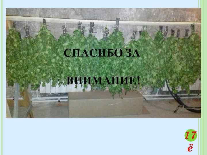 СПАСИБО ЗА ВНИМАНИЕ! 17 ё 