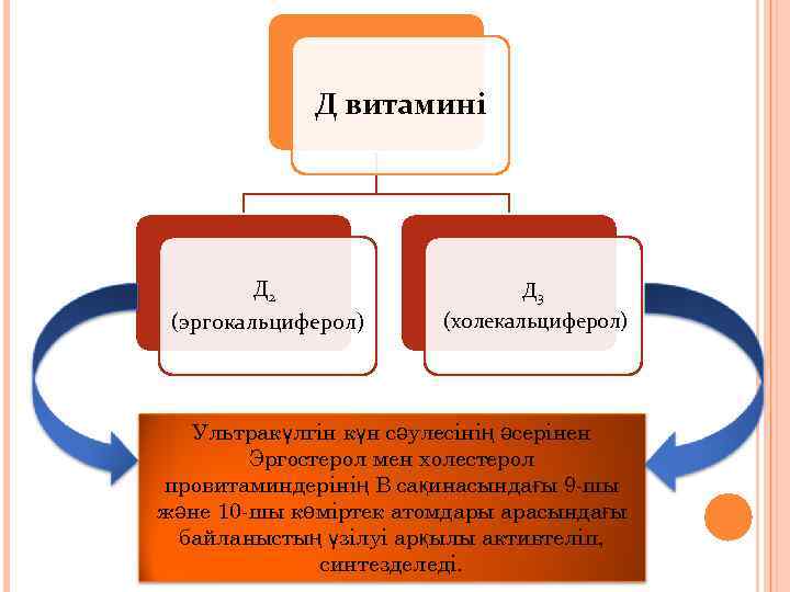 Д витамині Д 2 (эргокальциферол) Д 3 (холекальциферол) Ультракүлгін күн сәулесінің әсерінен Эргостерол мен